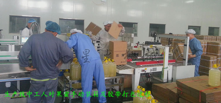 消防粉灌裝生產線，全自動粉末灌裝生產線